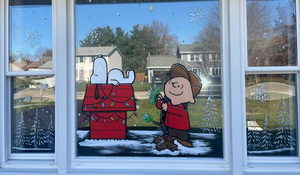 window painting Rockford